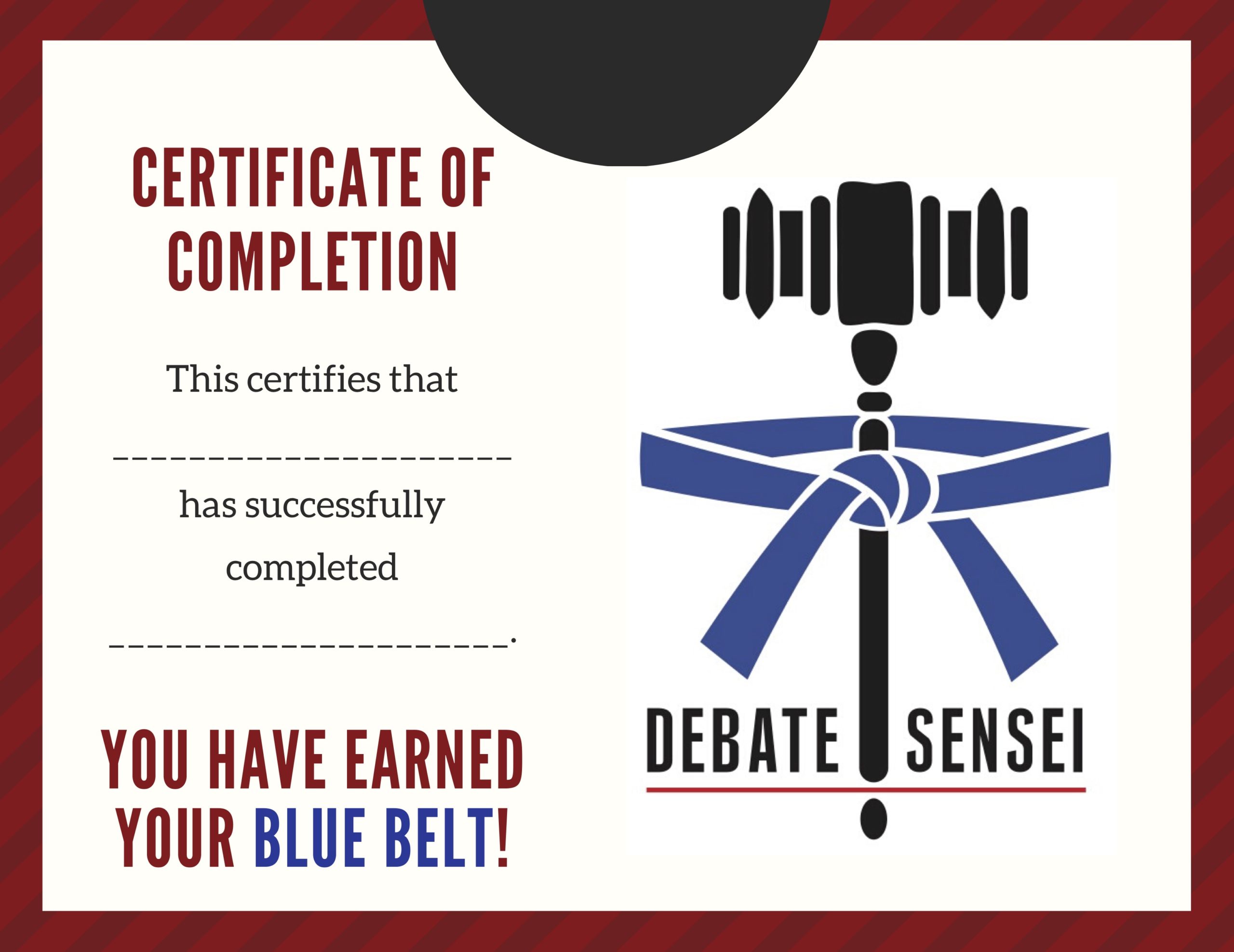 Blue Belt - ProtoCommunications - Speech